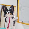 大切にしていただける方を探しています！