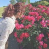 ひらり。。。