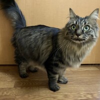 やまちゃん