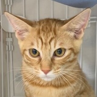 凛々しい♪ルイくん