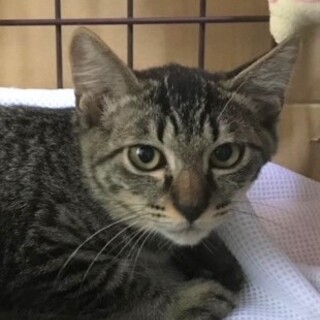 元気な男の子♪一二三くん