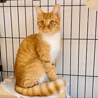 気立ての良いハンサムくん❣