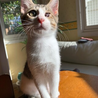 左目が見えなくても逞しく元気です♡