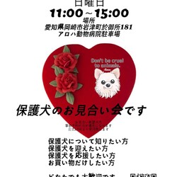 第24回Revue動物愛護DAY