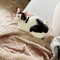 遊ぶの大好きイケメンもも君