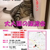とってもおっとりな優しいキジトラ☆めめ吉君❣️ サムネイル7