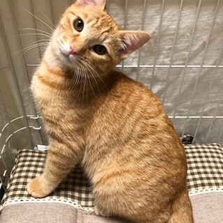 おっとり屋さん♪ウィルくん