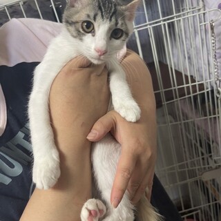 ミルクから育てて来たのでとても甘えん坊