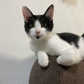 5ヶ月の三姉妹のあちゃん足の付け根にハート柄！