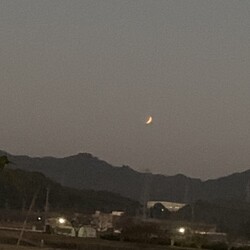 月蝕(相変わらずペットログではありません笑)