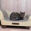 額のＭマークが猫耳のように見えちゃう女の子❤️