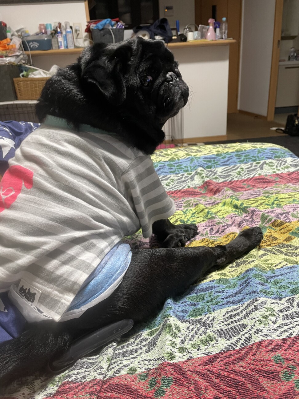 りゅうのすけ