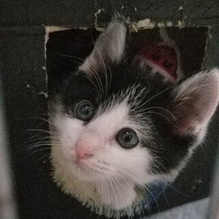 調整中のため一旦ストップさせていただきます