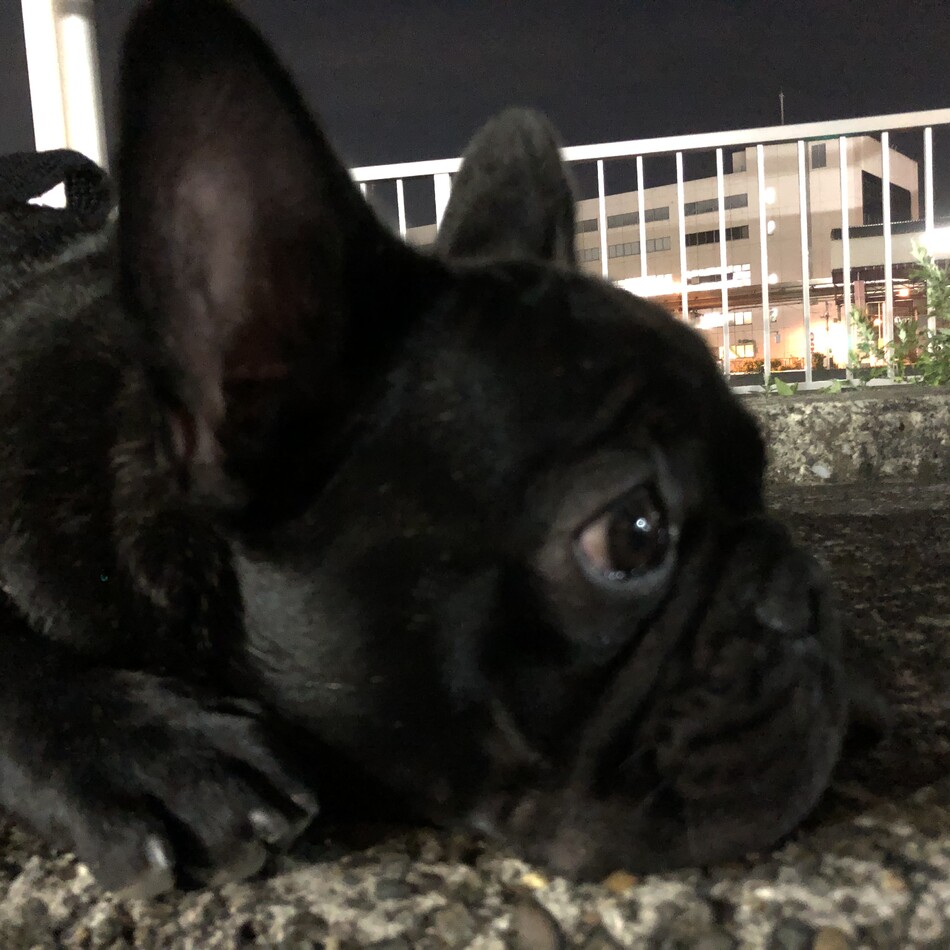 バルのカバー写真
