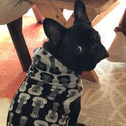 今日から宜しくお願いします。バルです。