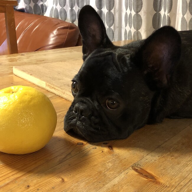 megu0115のカバー写真