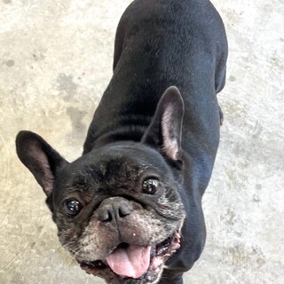 21-W664 その名は「くわいちゃん」♪