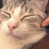 永遠の家族達。この子達がくれた思い出は一生の宝物です。