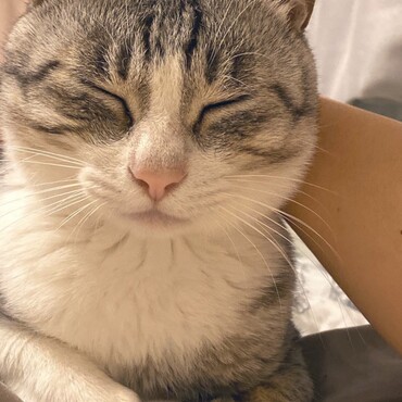 の写真