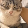 の写真
