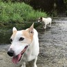 の写真