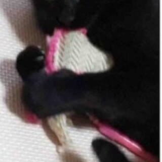ベタベタ女子のキキちゃん