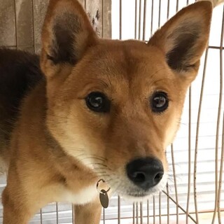 「みつ」女の子