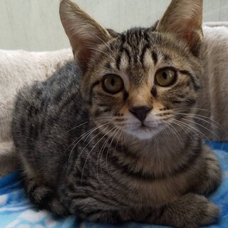 [お見合い歓迎】仲良し青くん♡紅ちゃん