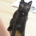 胸元にちょっとお洒落