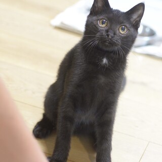 胸元にちょっとお洒落