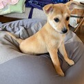 元気一杯ヤンチャな女の子