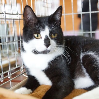 おっとりゴロゴロな男の子☆性格花丸です