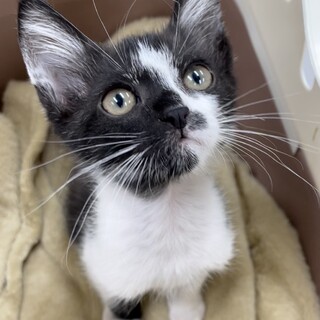 募集一時停止❤️小柄な白黒男子ひふみ