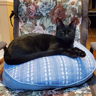 ちょっとシャイ、でもお世話好きの優しい男の子