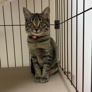 大切にしてくださる方を探しています。