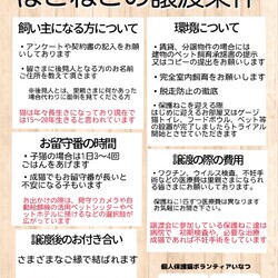 ほごねこの譲渡会inふくお サムネイル3