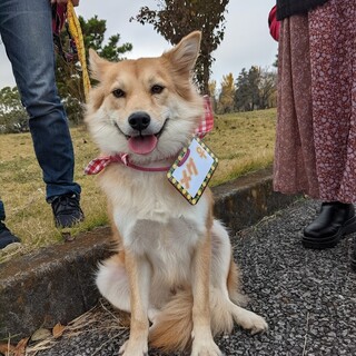 インドア系ふんわり女子のメグちゃん