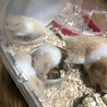 ひとまん
