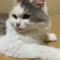 交渉中のため募集停止してます