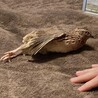 のびのび〜(笑)