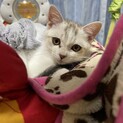 お転婆娘メルちゃん