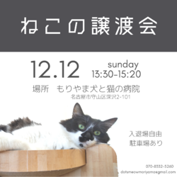 ◌名古屋市守山区◌猫の譲渡会