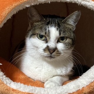 【NANAY】募集を終了しました。