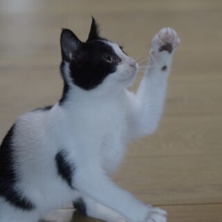 可愛いララちゃん。私です！！