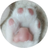 ゆきまりこ