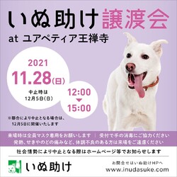いぬ助け　譲渡会　at ユアペティア王禅寺