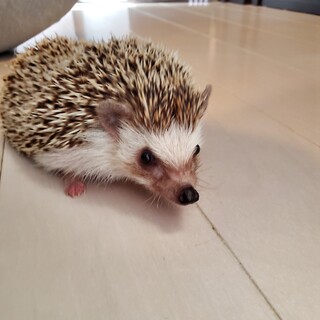 応募してくださった方々ありがとうございました。