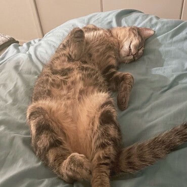 の写真