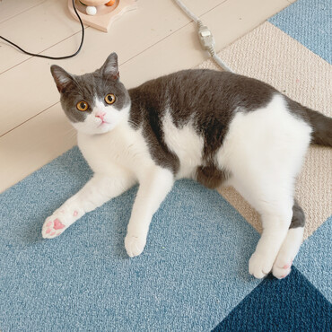 の写真