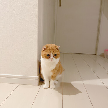 の写真
